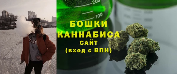 стаф Белокуриха