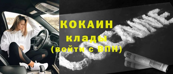 стаф Белокуриха