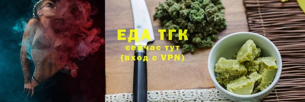 стаф Тайга