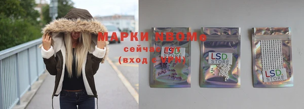 стаф Тайга