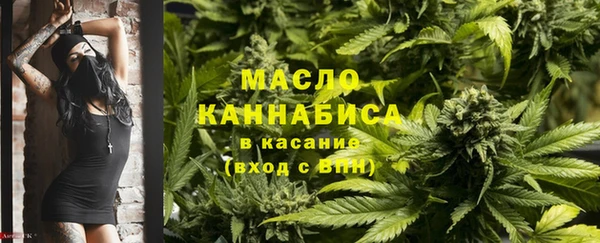 дживик Сясьстрой