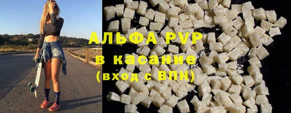 стаф Тайга