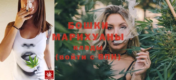 дживик Сясьстрой