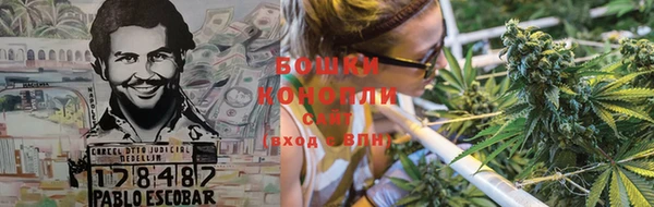 ГАЛЛЮЦИНОГЕННЫЕ ГРИБЫ Беломорск